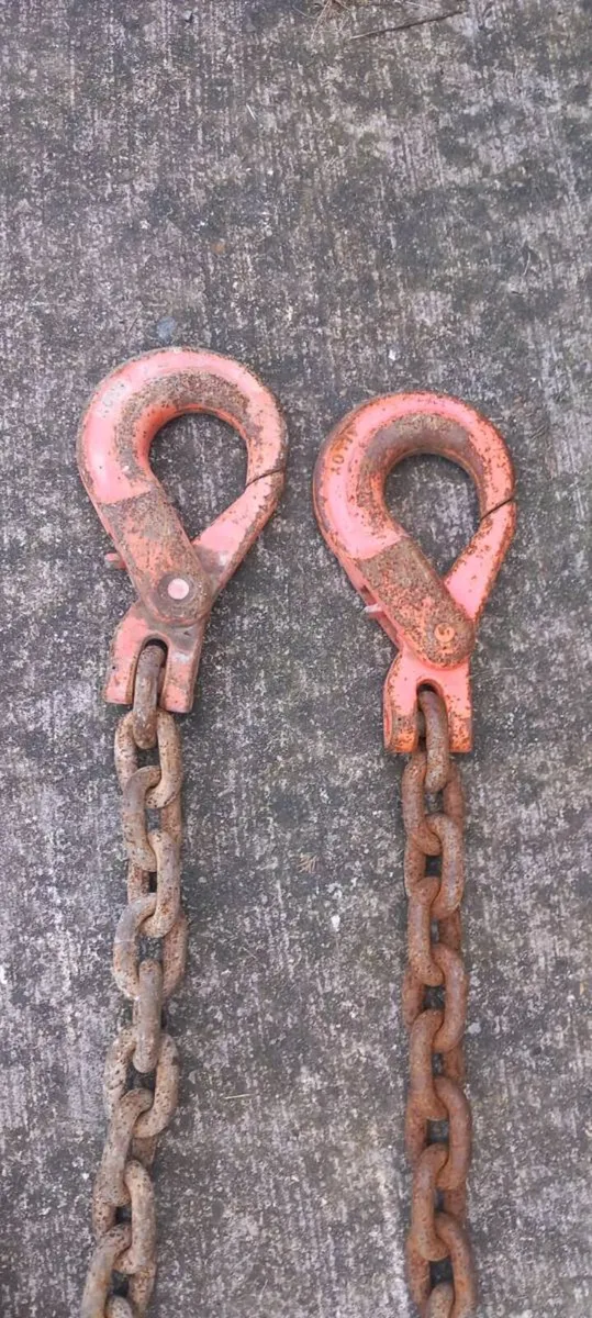 Drop chains for heavy duty lifts  10ton - Image 1