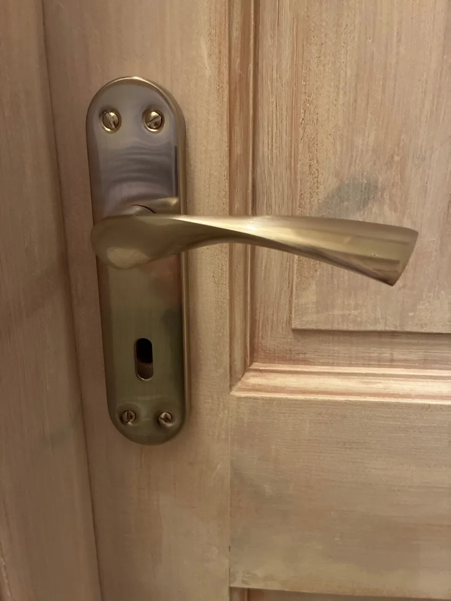 Door handles - Image 1