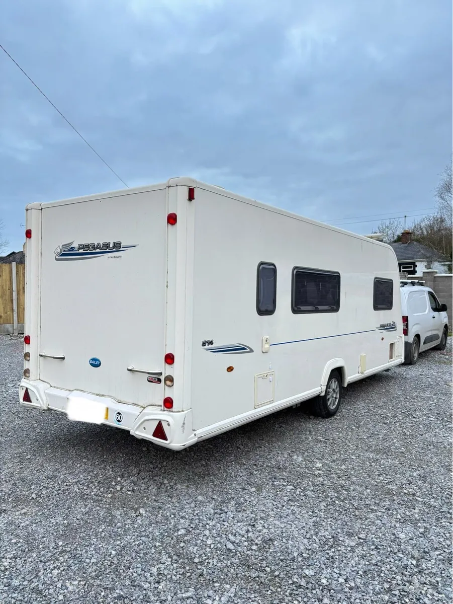 *MINT BAILEY PEGASUS 514* - Image 3