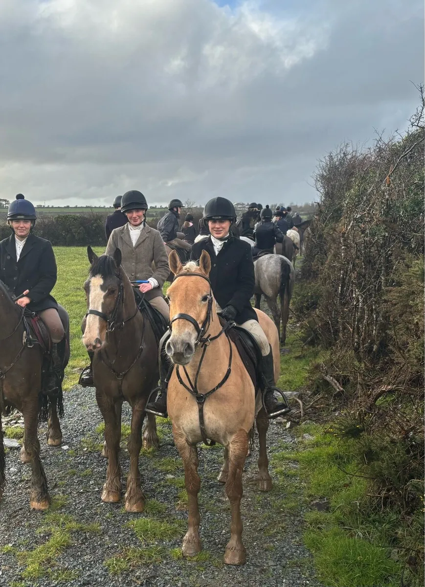 Allrounder 14.2 - Image 3