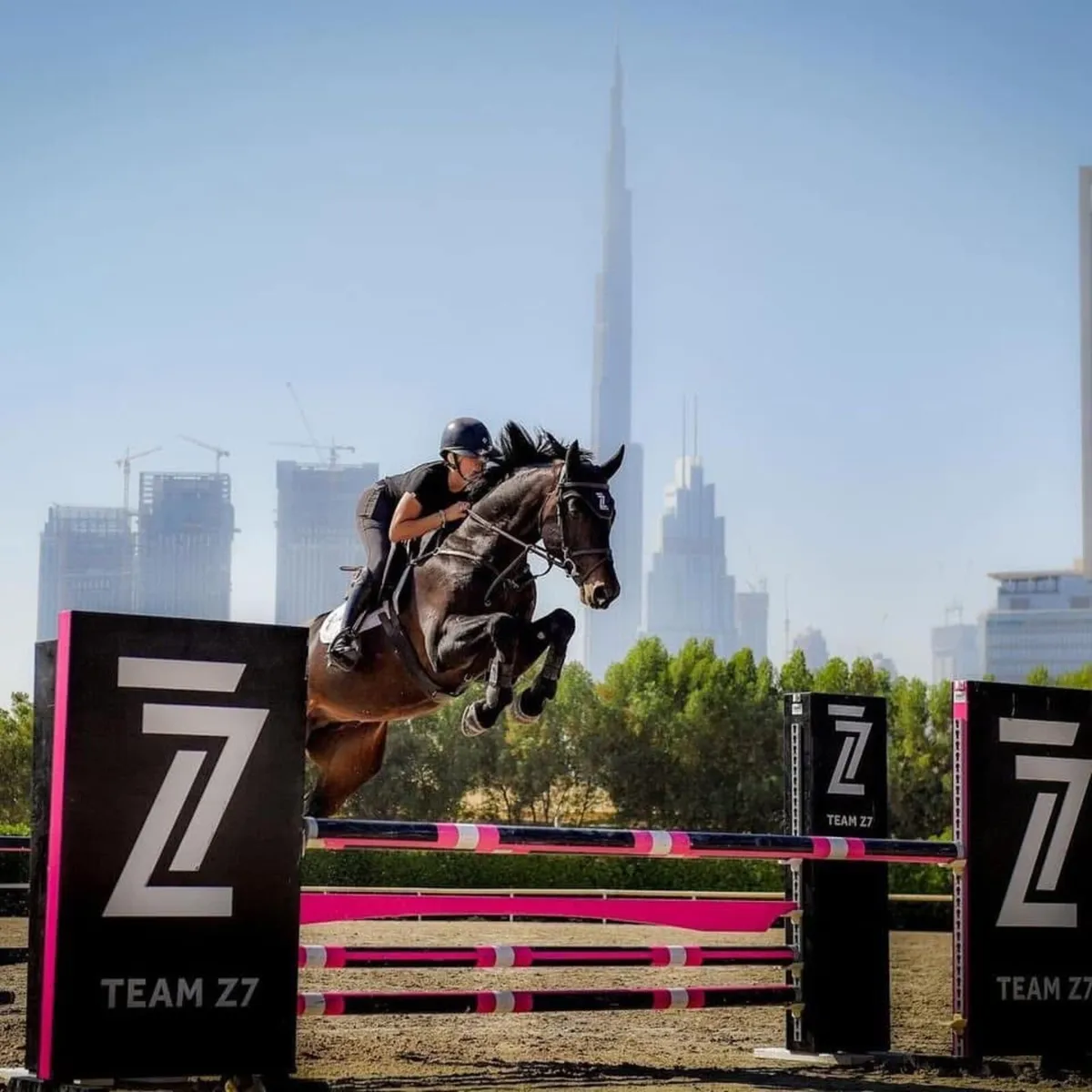 Z7 Mevano at stud - Image 3