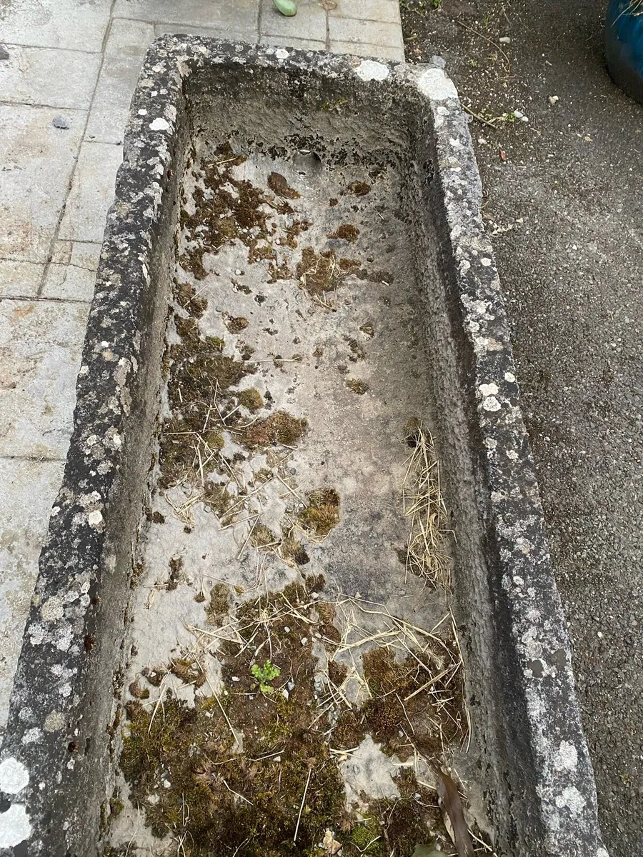 Limestone Trough - Image 3