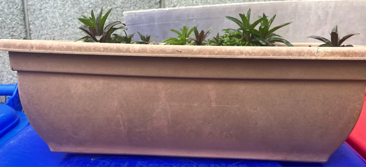 Stuff for garden - Image 2