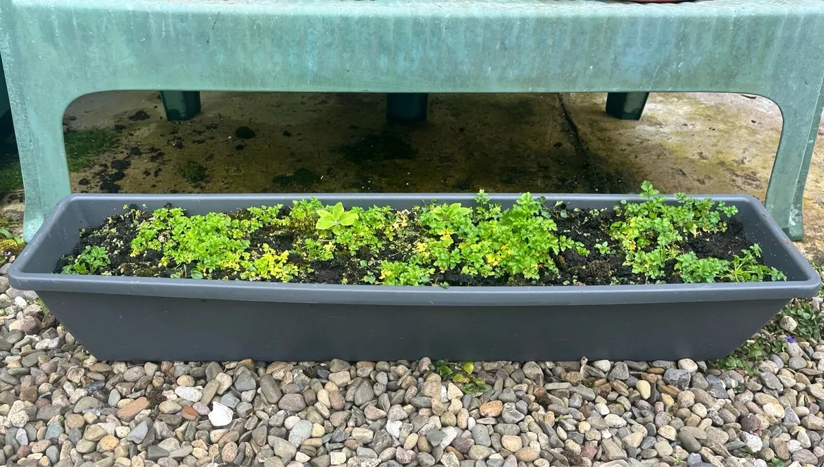 Stuff for garden - Image 3