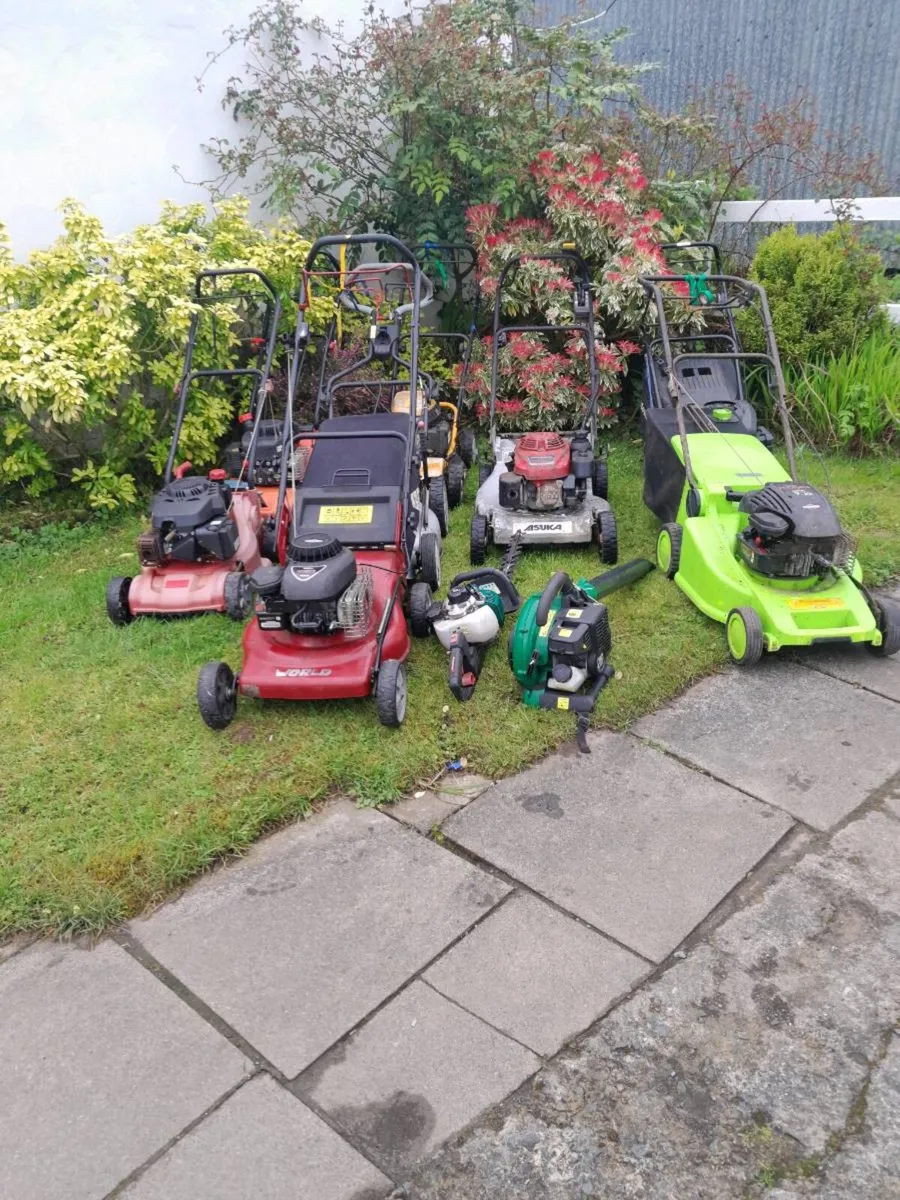 Lawn mowers - Image 1