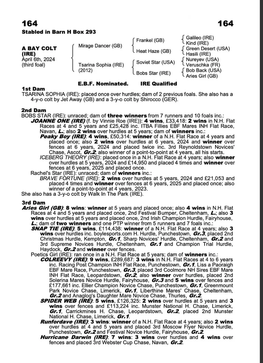 NH Broodmare & Foal for sale - Image 3