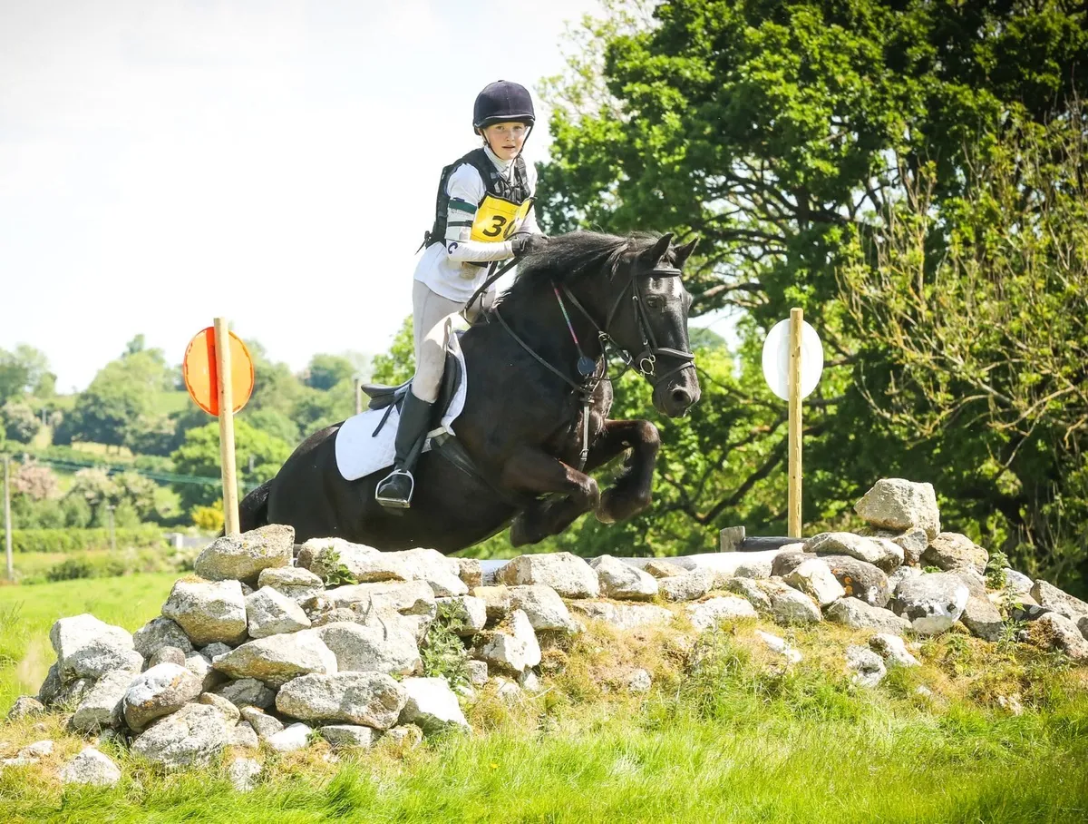 13.2 all rounder/ schoolmaster - Image 1