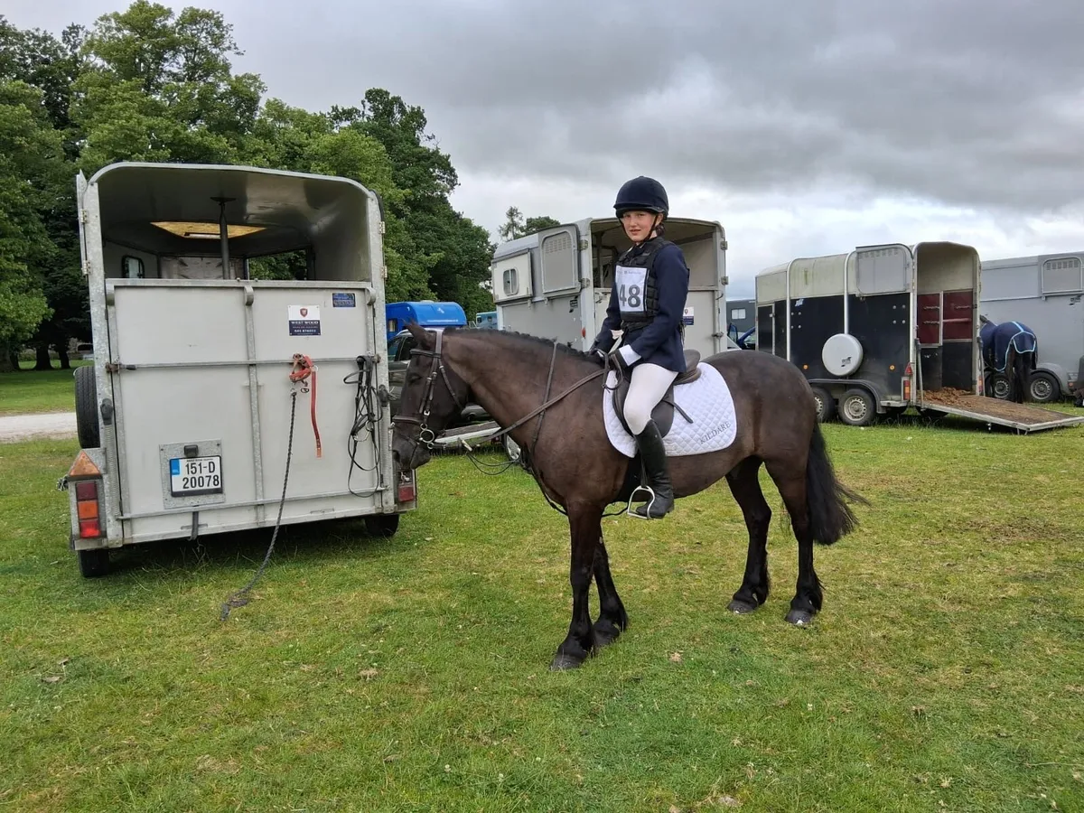 13.2 all rounder/ schoolmaster - Image 3