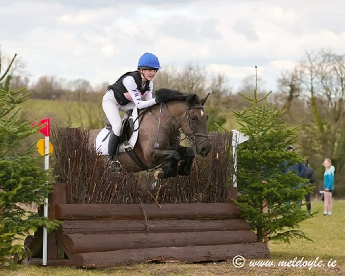 13.2 all rounder/ schoolmaster - Image 4