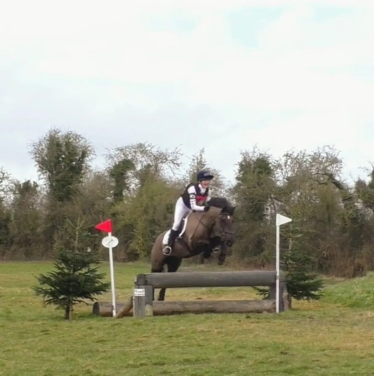 13.2 all rounder/ schoolmaster - Image 2