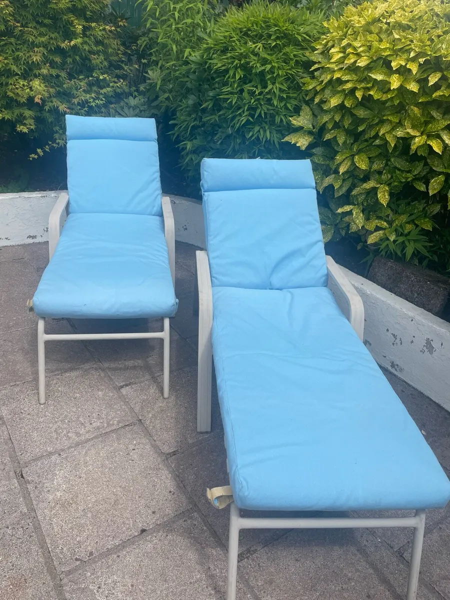 Sun loungers - Image 3