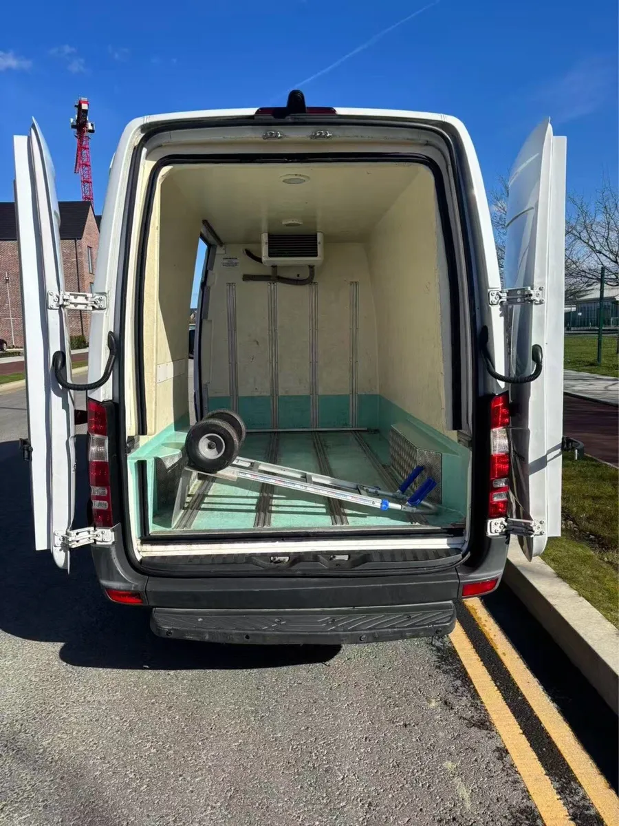 2016 Mercedes 313 Fridge/Freezer Van - Image 1