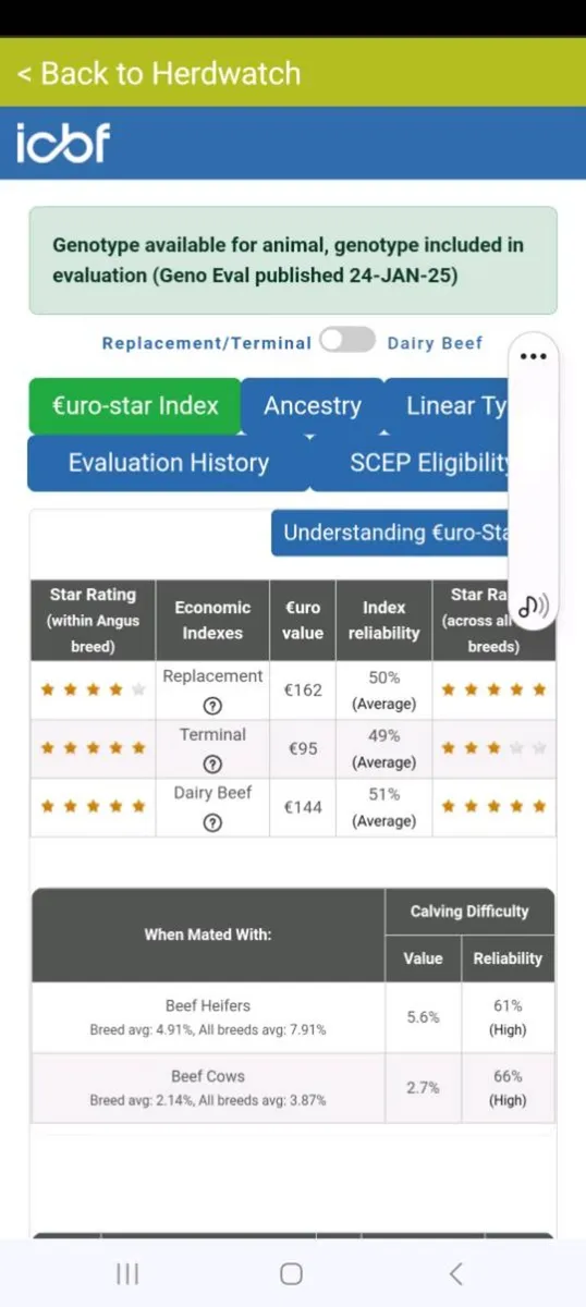 Pedigree angus bulls   BALLYBAY MART  1ST APRIL - Image 4