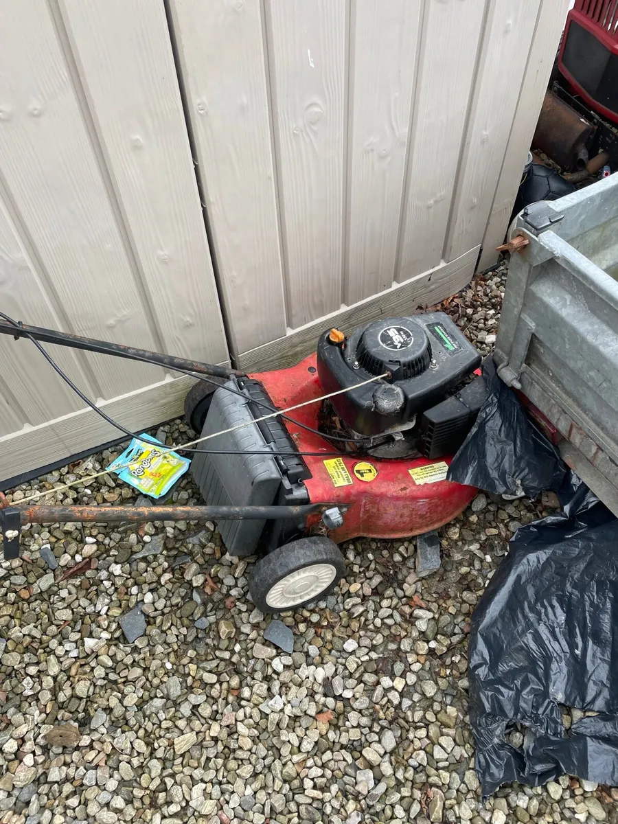 free to take away - Image 2