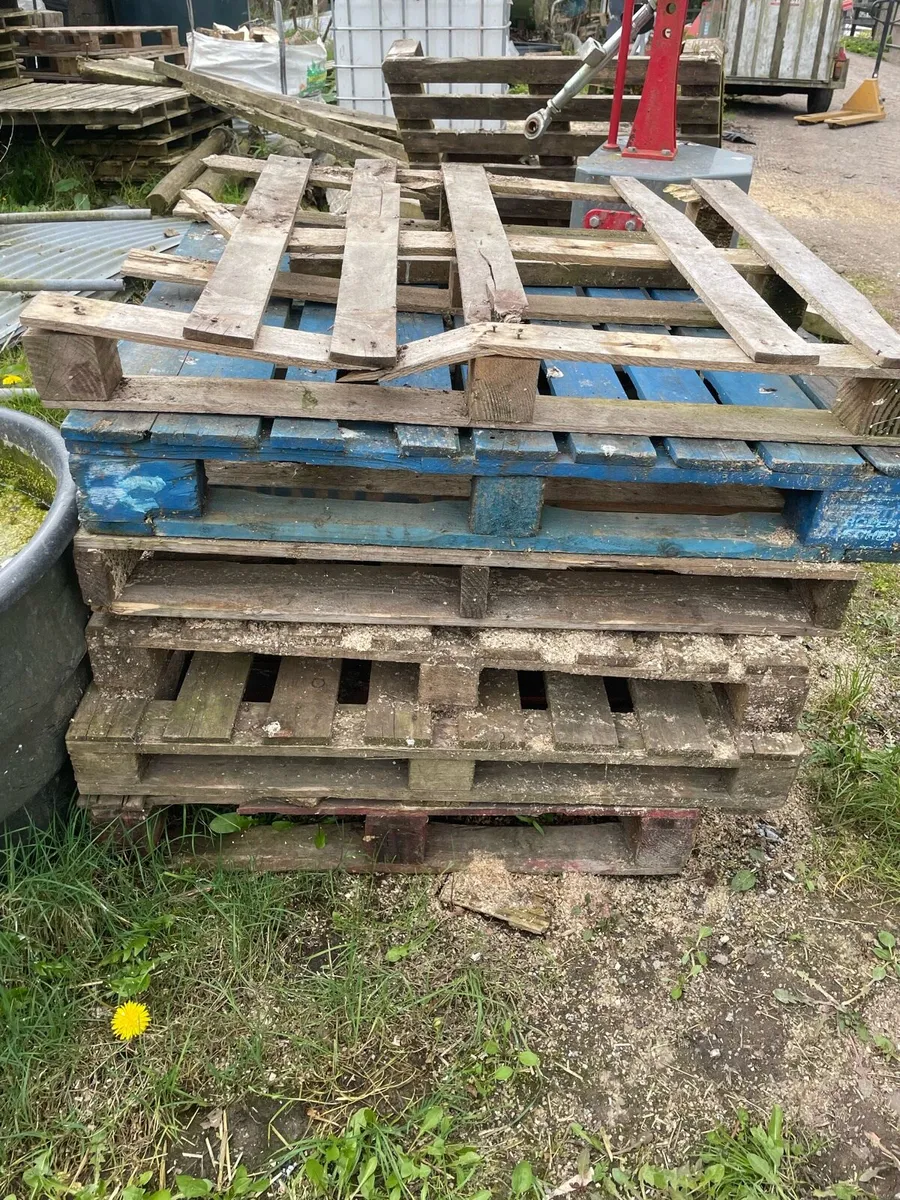 Free wood fence and pallets - Image 1