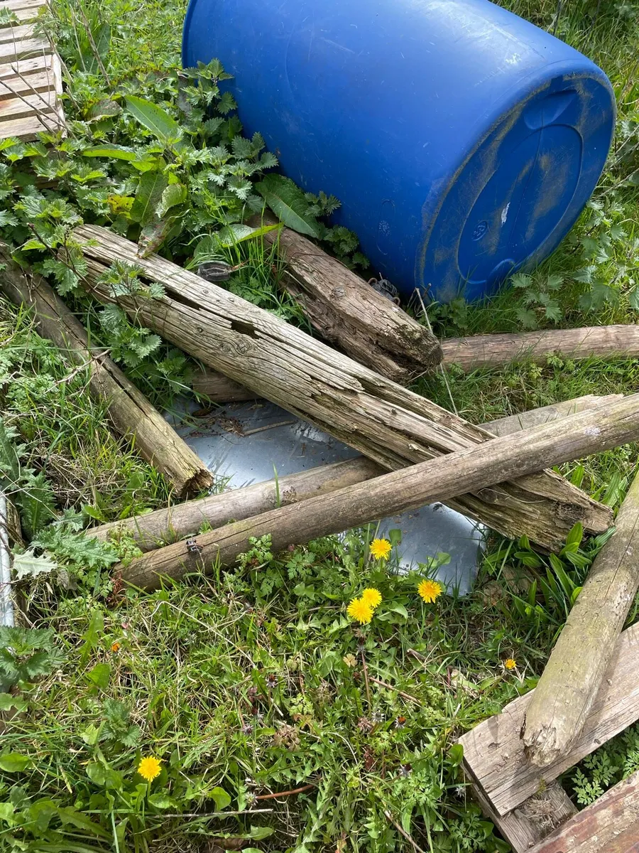 Free wood fence and pallets - Image 3