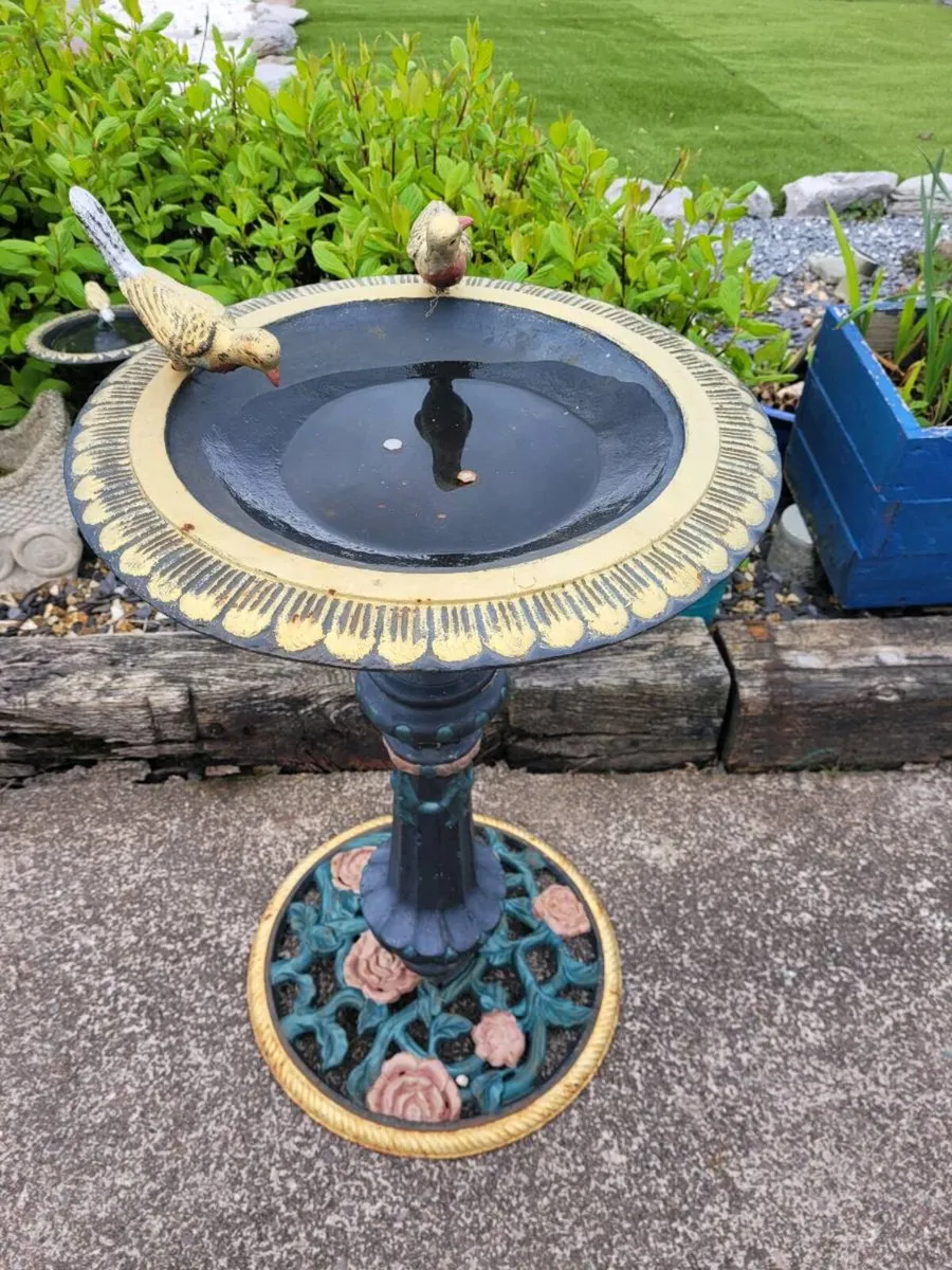 Bird Bath - Image 3