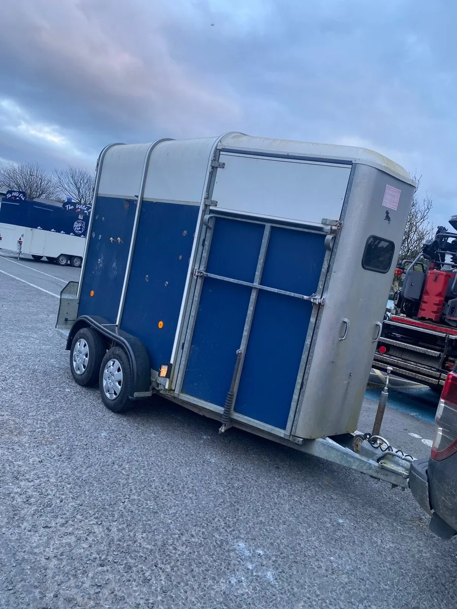 Ifor Williams 505 horsebox - Image 2