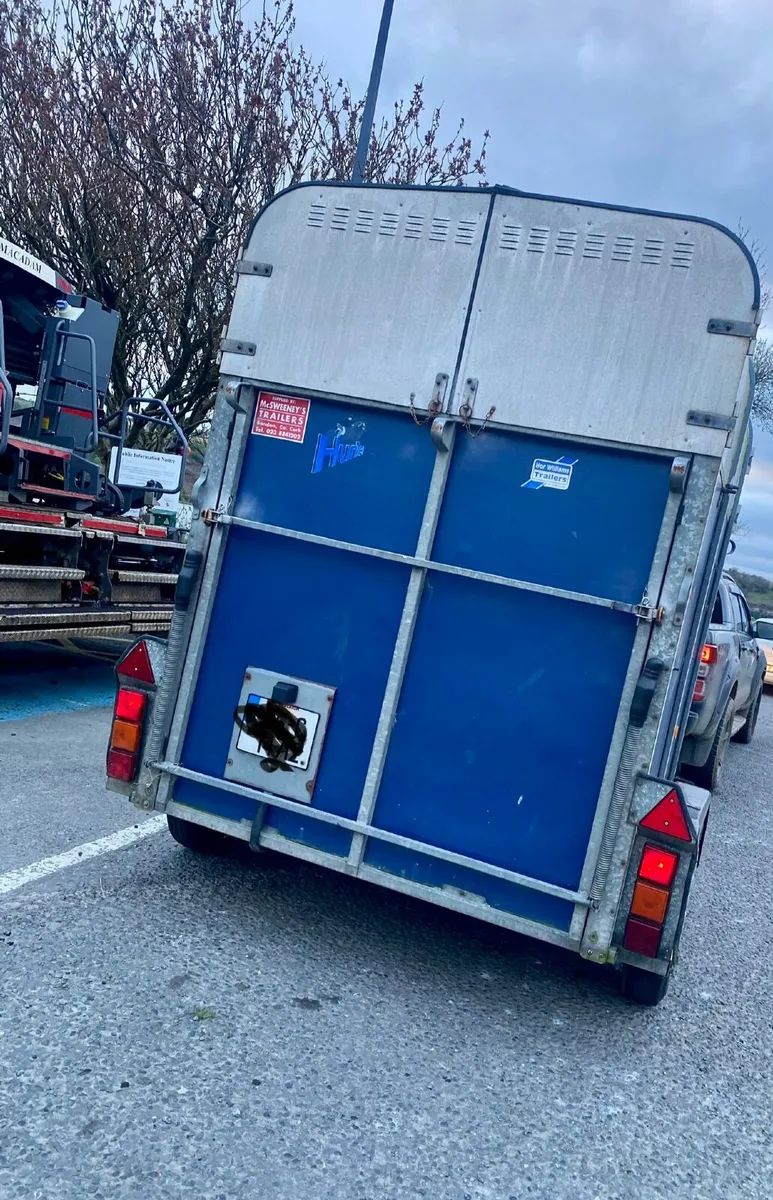 Ifor Williams 505 horsebox - Image 1