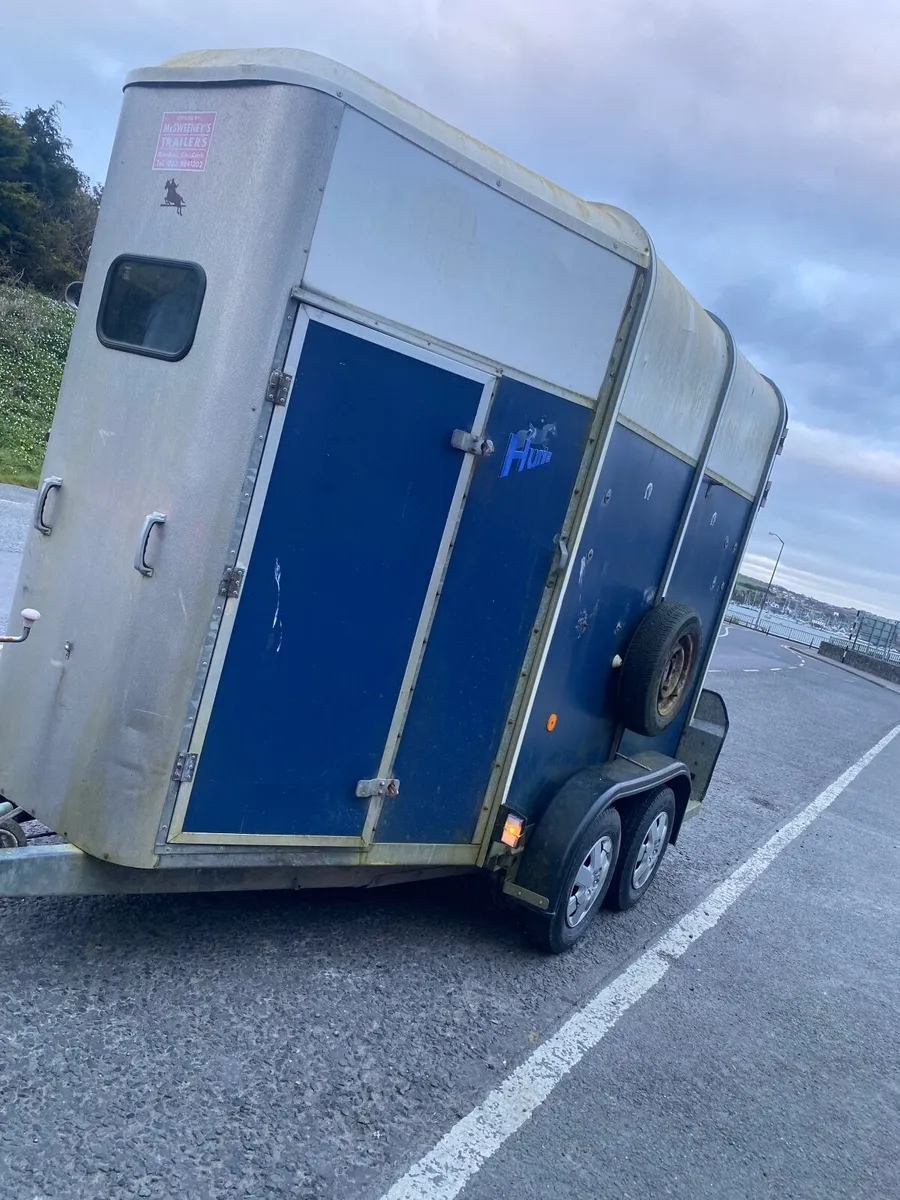 Ifor Williams 505 horsebox - Image 4