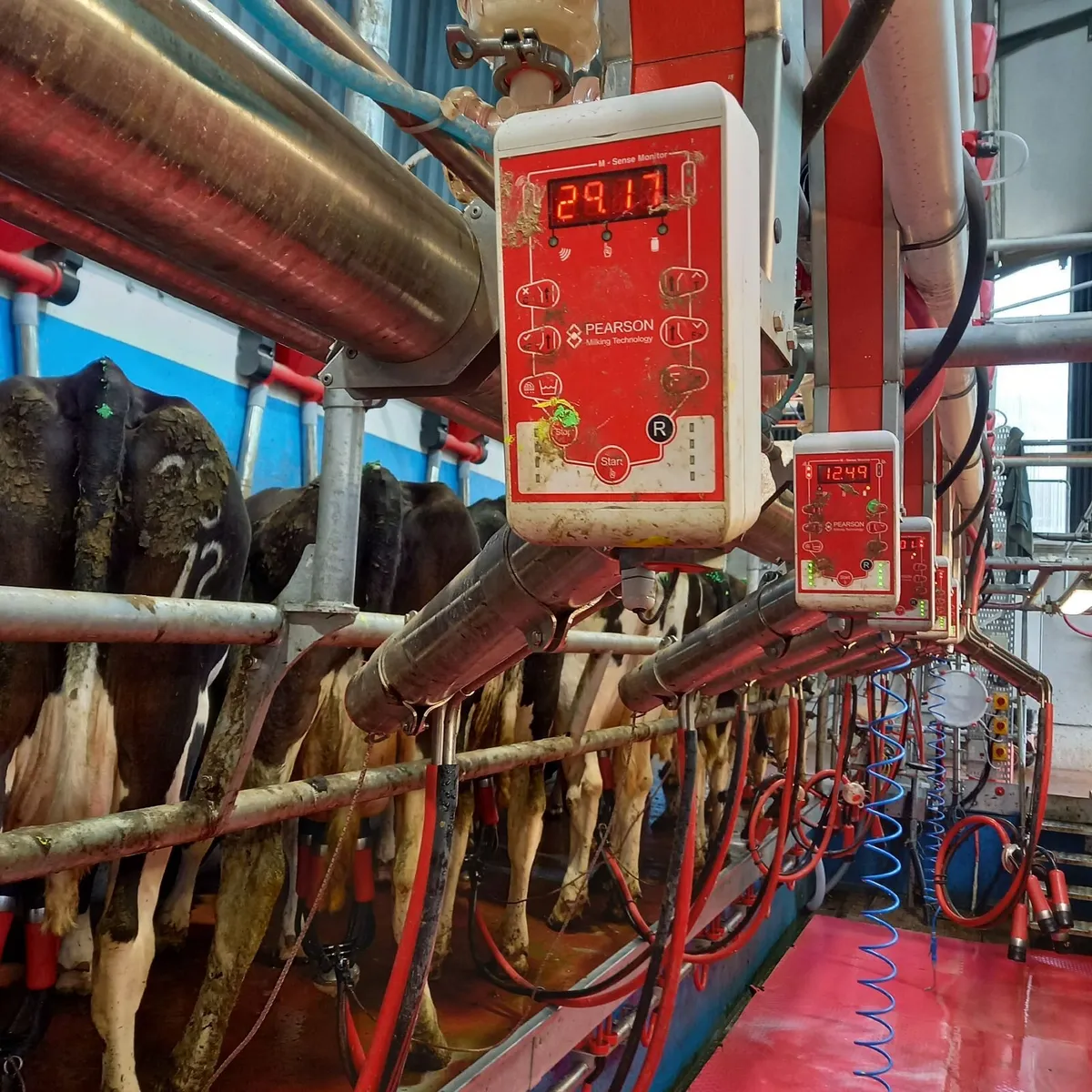 Relief Milker available - Image 1