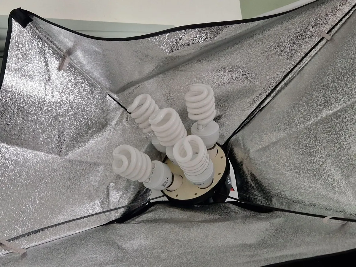 Fluorescent Lighting Kit - Image 4