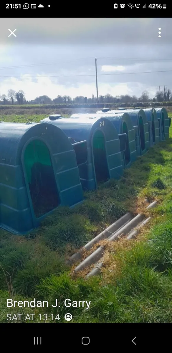 JFC calf hutch - Image 2