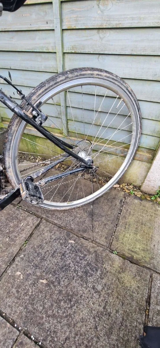 Giant fcr3 - Image 3