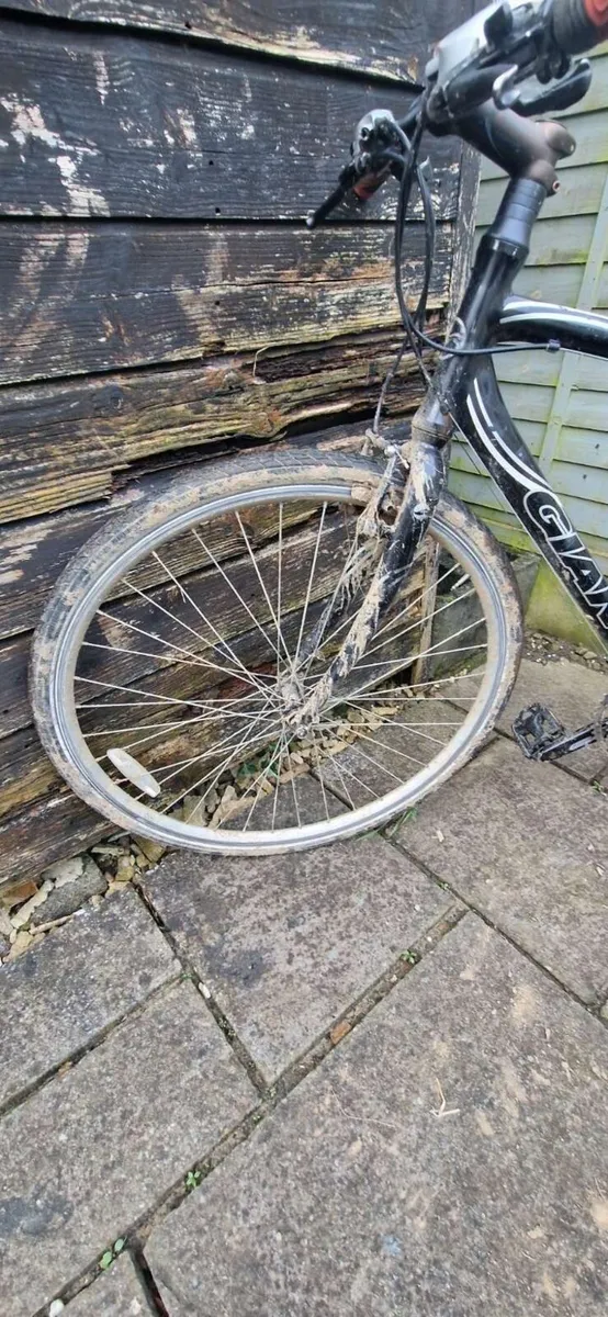 Giant fcr3 - Image 4