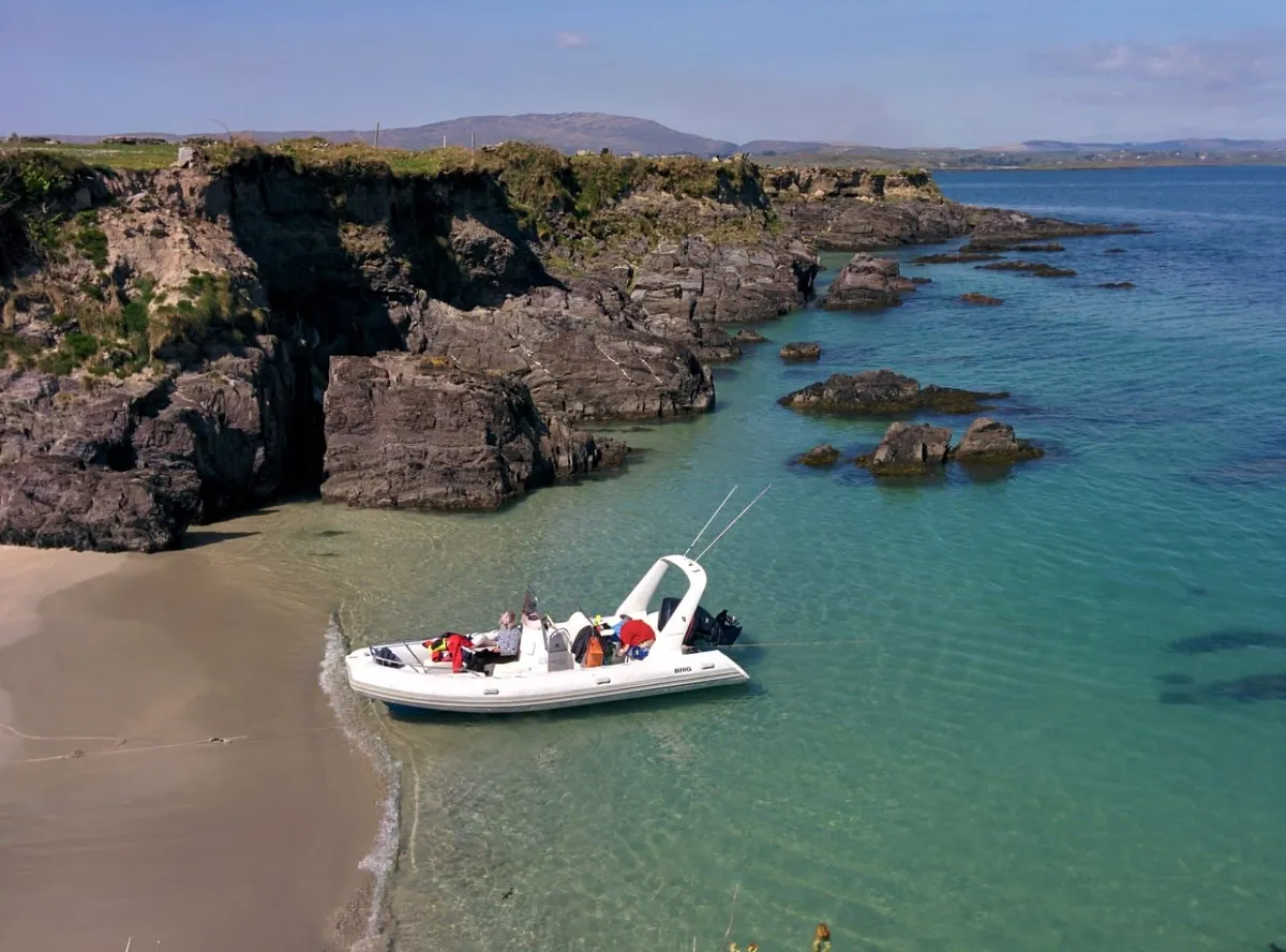 2003 Brig Eagle 600 Rib - Evinrude 2-stroke 150hp - Image 2