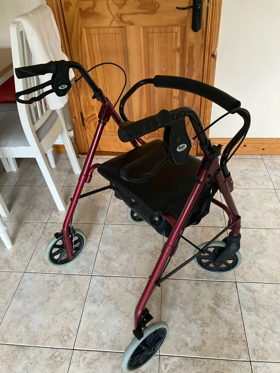 Rollator / Walker Mobility Aid - Image 1