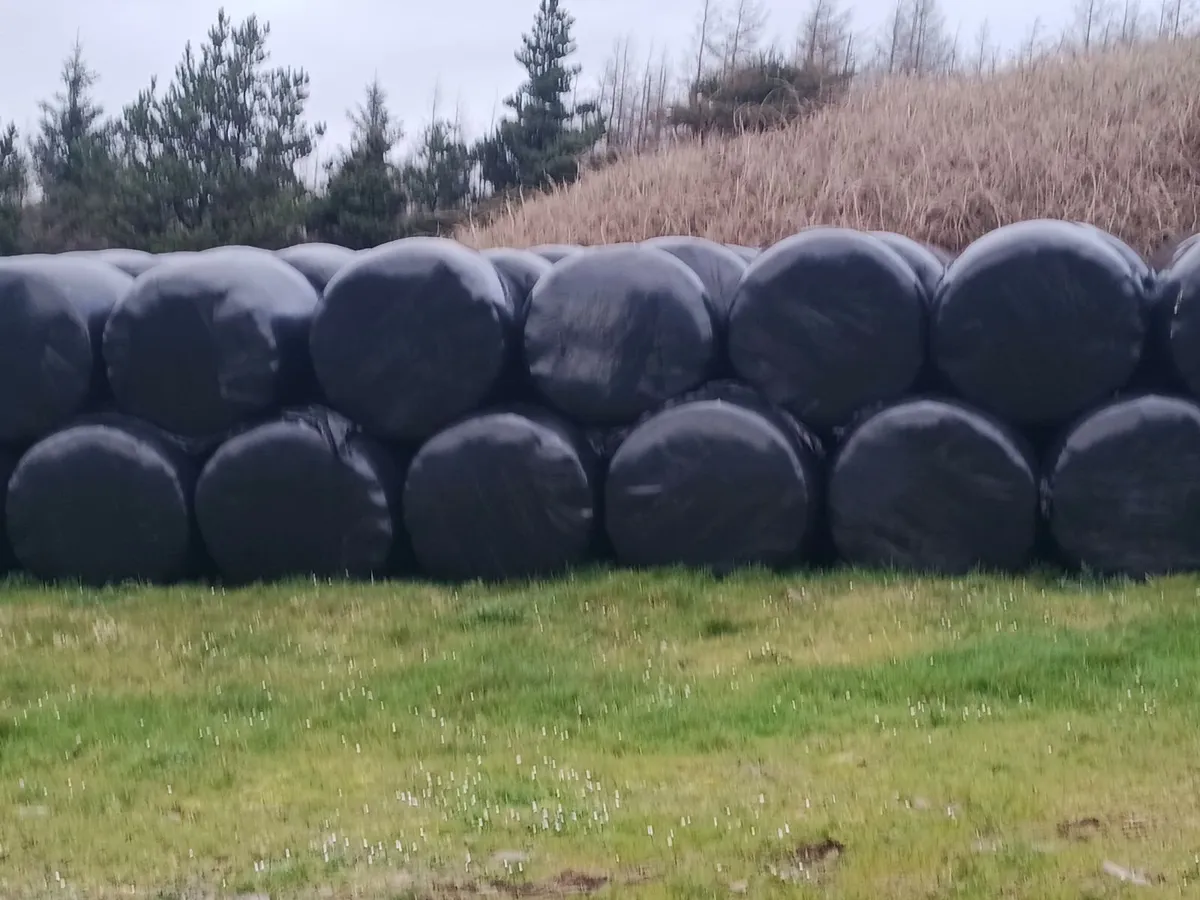 Silage bales - Image 1