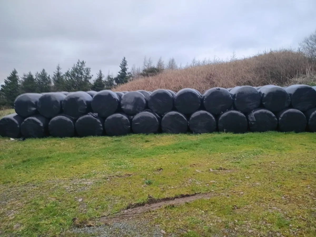Silage bales - Image 2