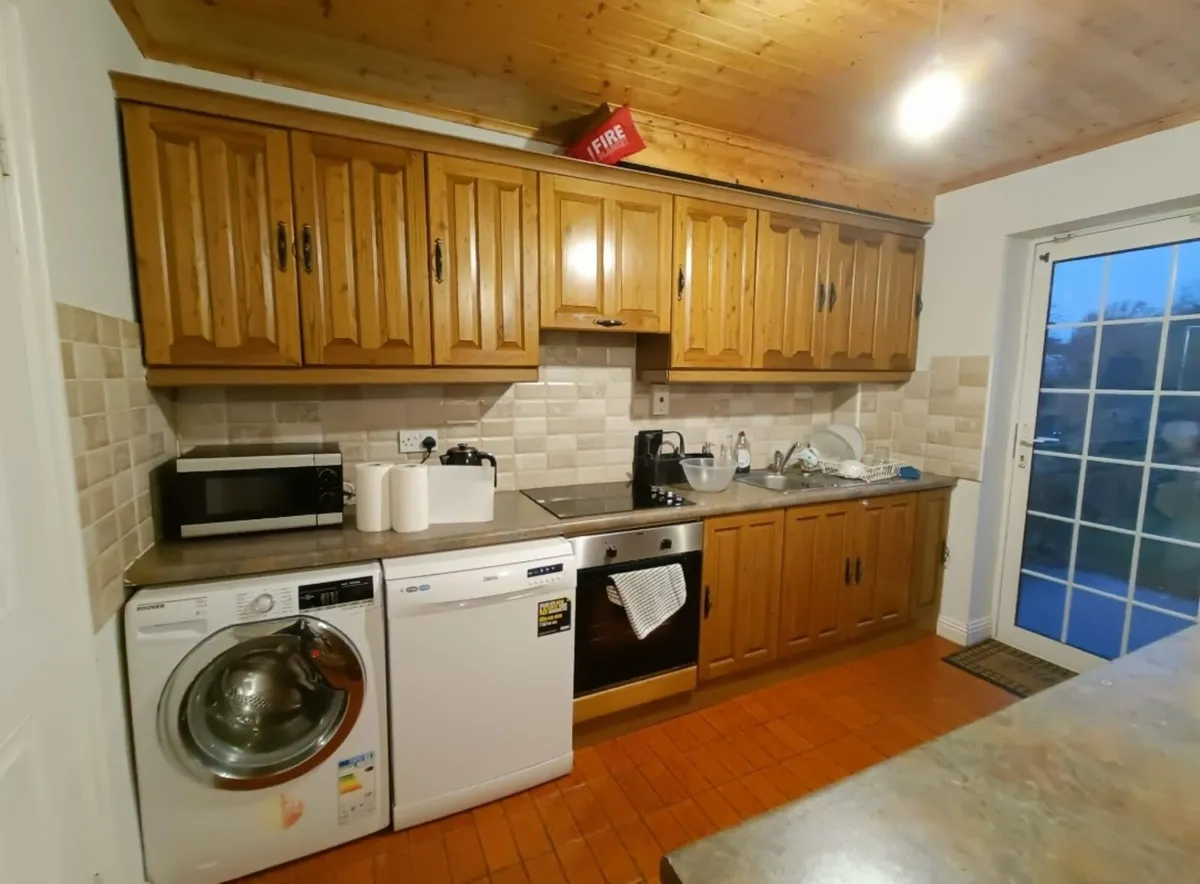 Ciara Shaughnessy - Image 2