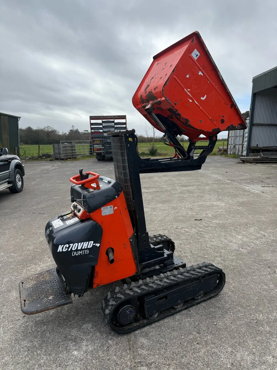 Track dumper - Image 4