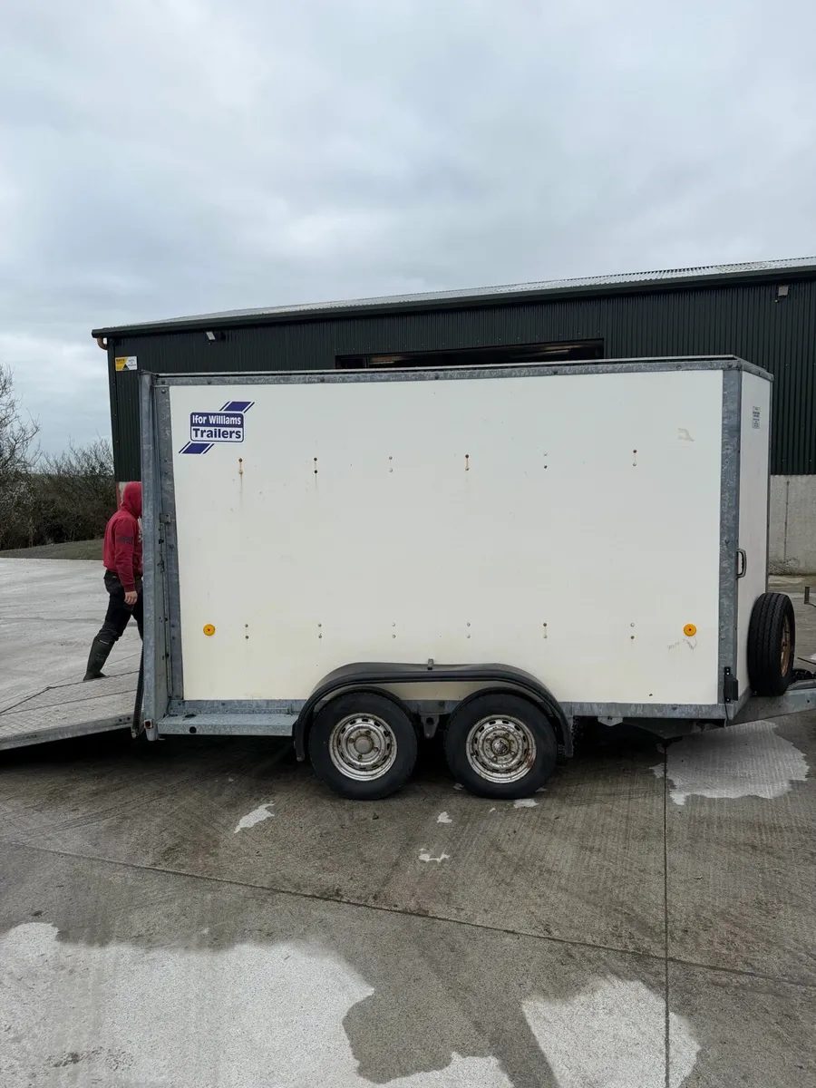 Ifor Williams Box Trailer - Image 1