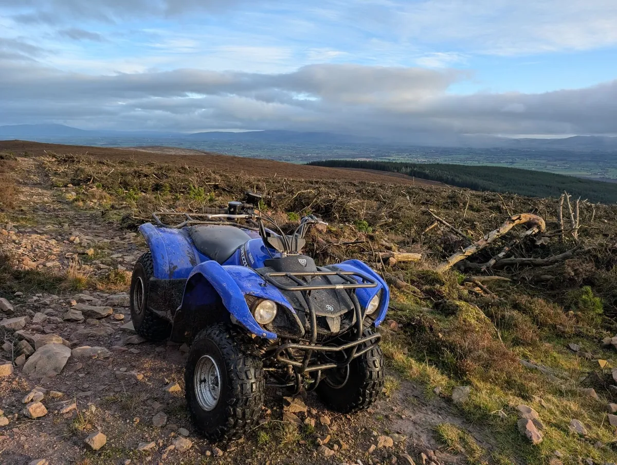 Quad Yamaha Grizzly 125 - Image 4
