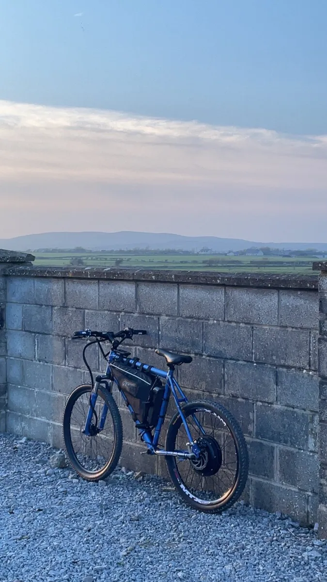 Electric Bike - Image 4