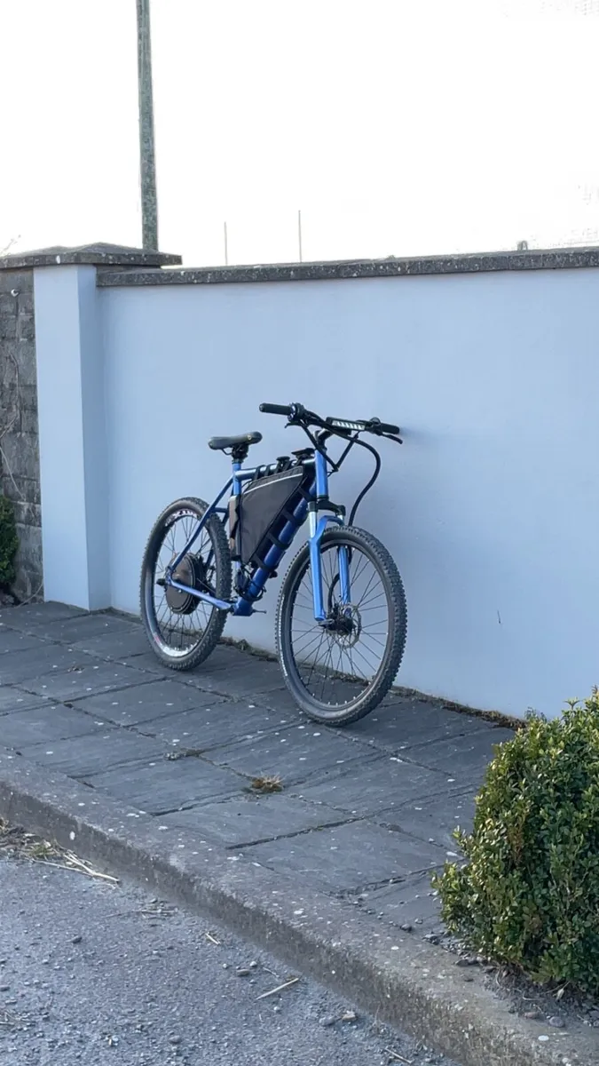 Electric Bike - Image 1