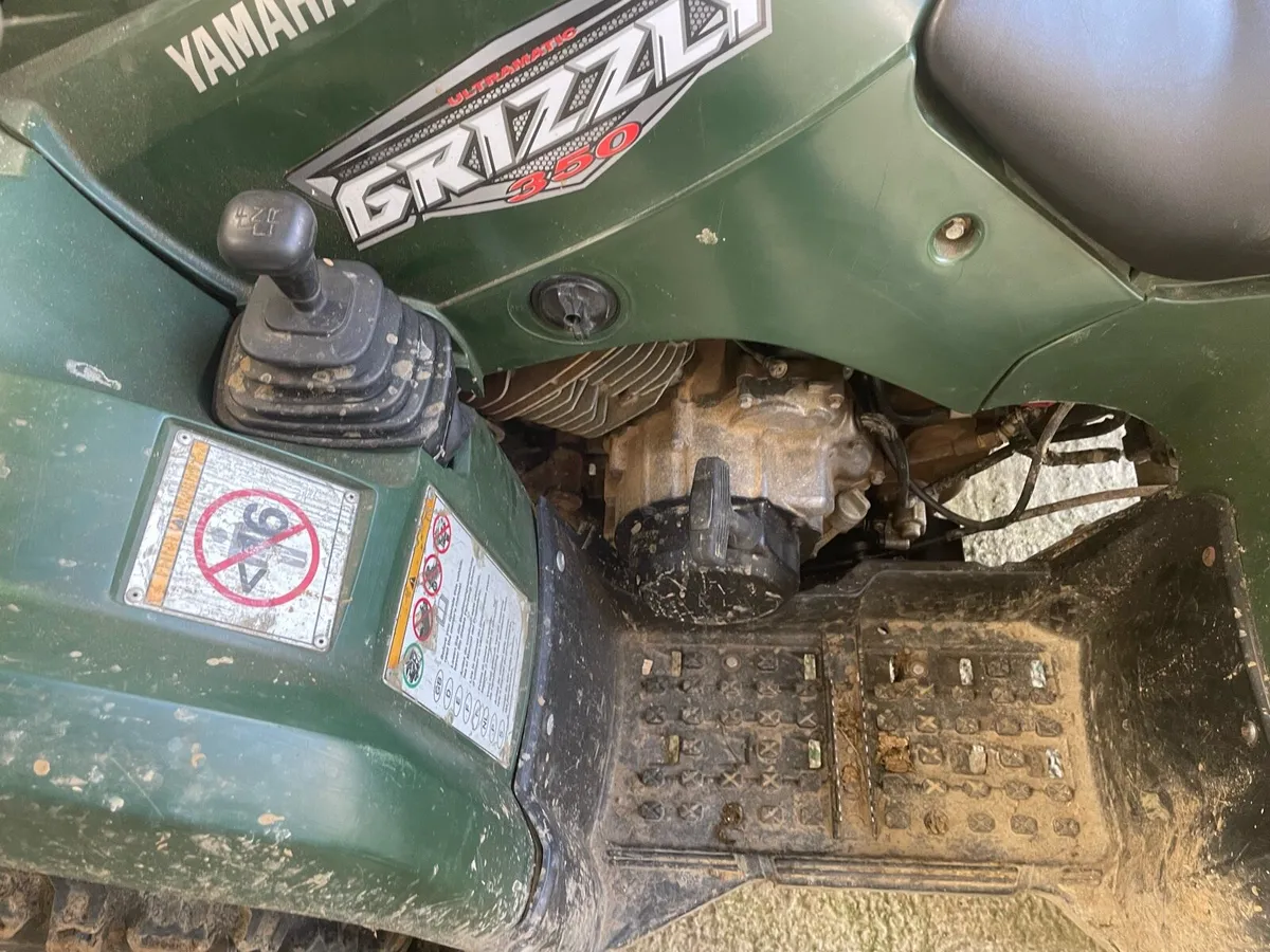 Yamaha grizzly 350 - Image 2