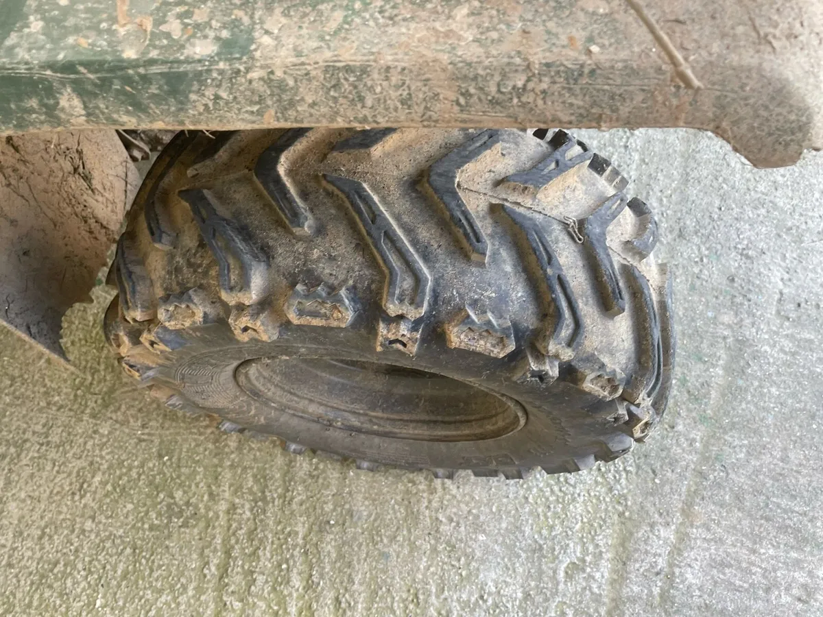 Yamaha grizzly 350 - Image 3