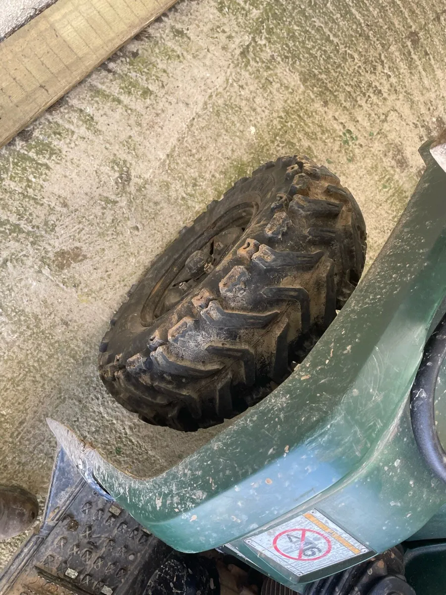 Yamaha grizzly 350 - Image 4