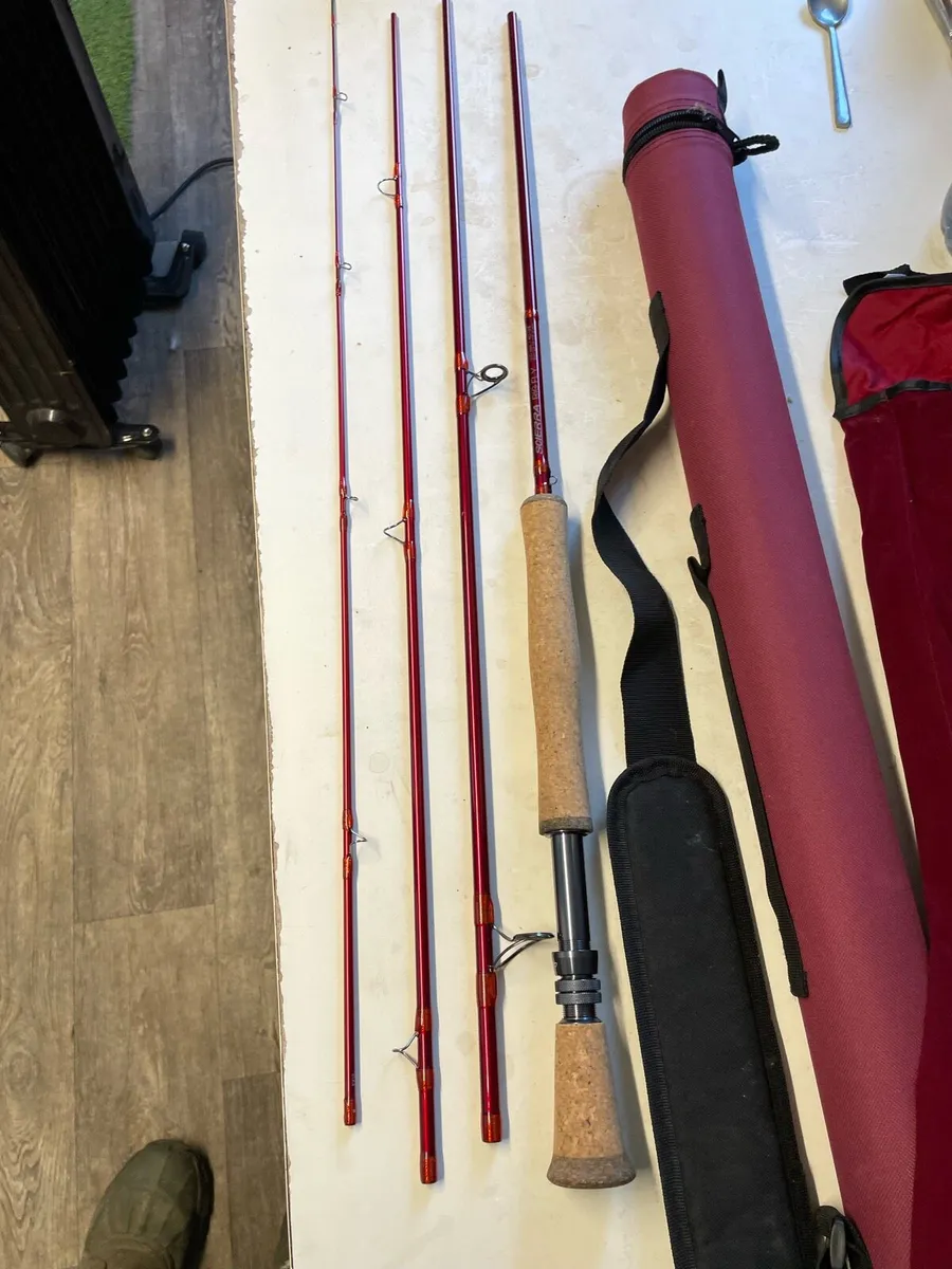 Pike fly rod - Image 2