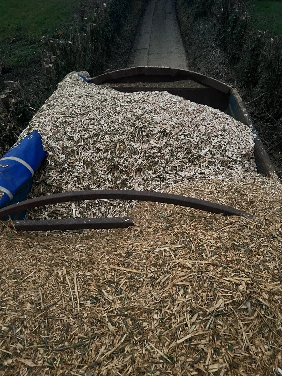 Woodchip - Image 3