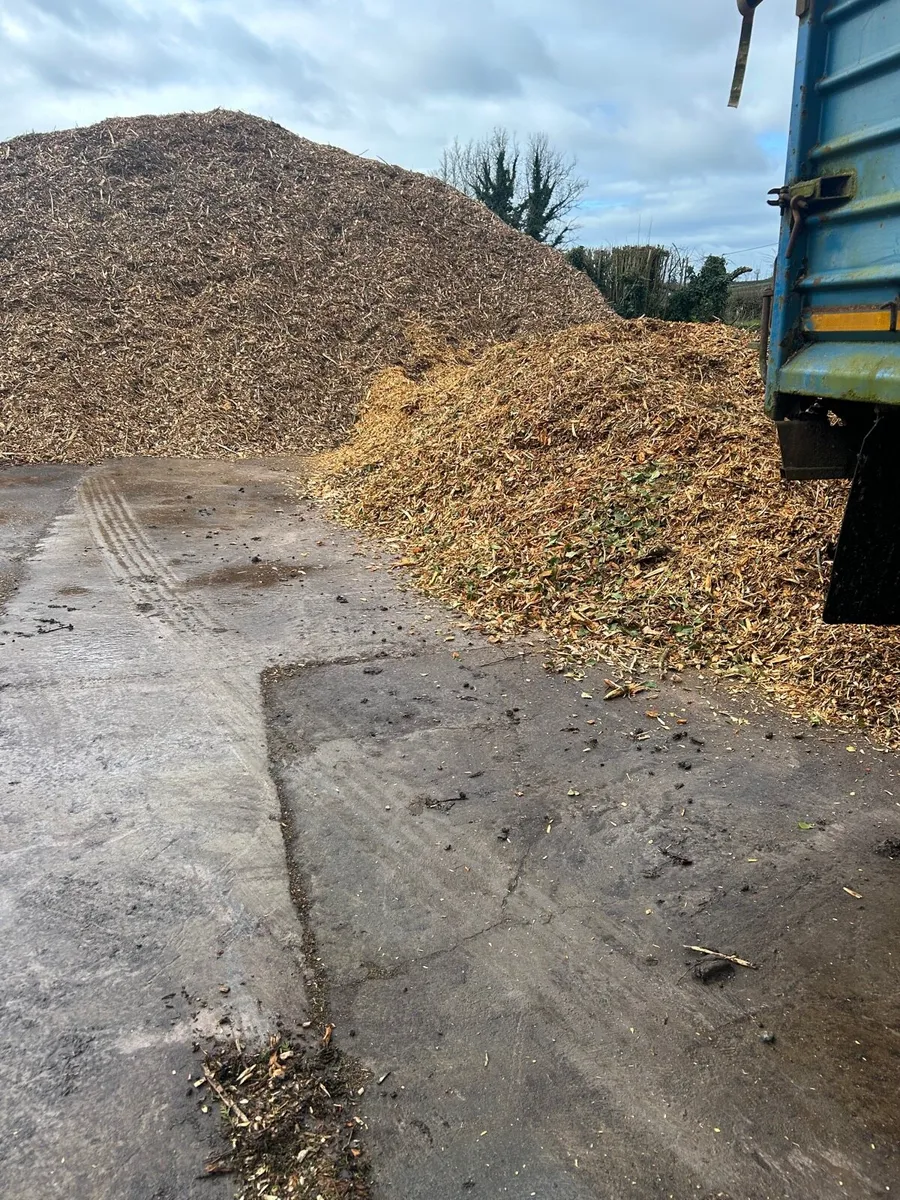 Woodchip - Image 2