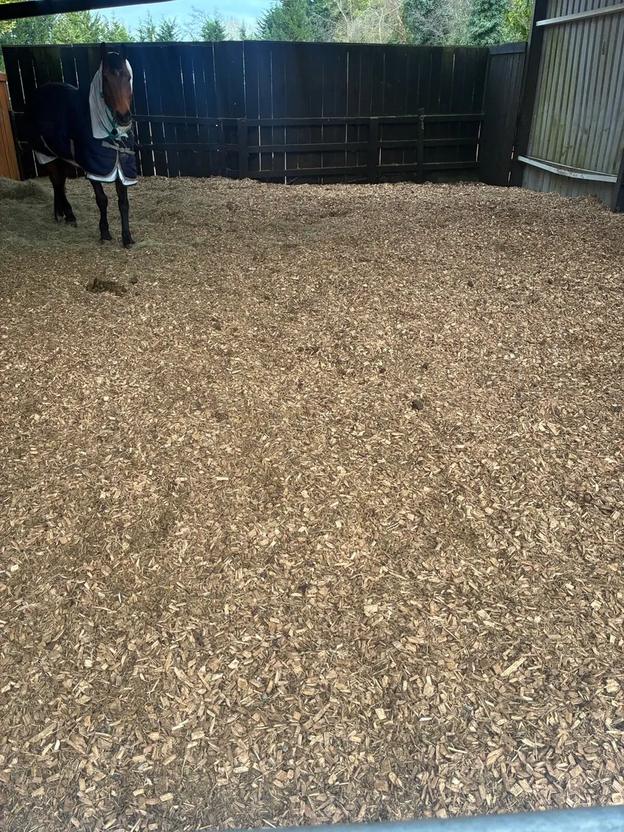**sawdust* and woochip bedding ** - Image 3