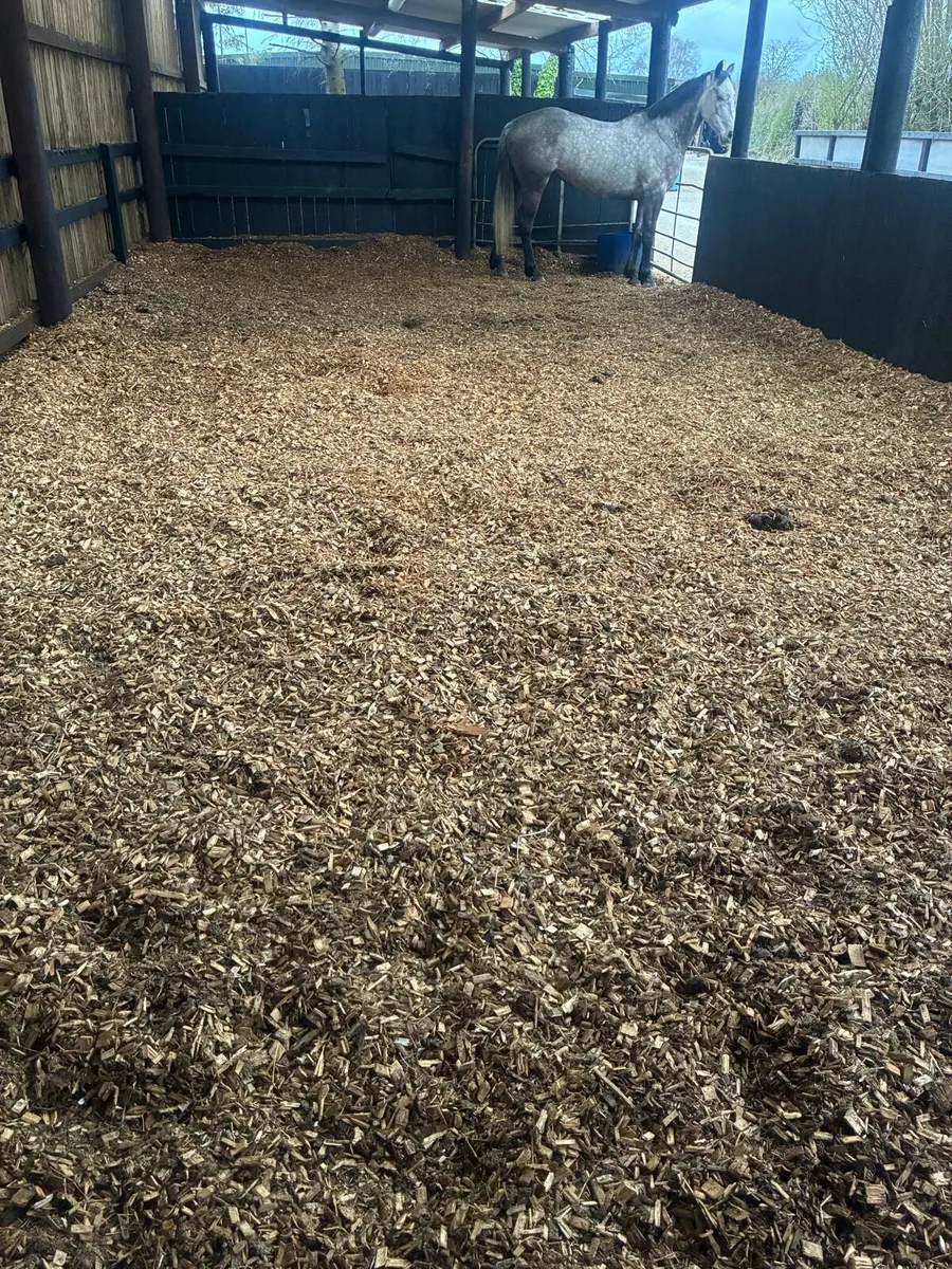 **sawdust* and woochip bedding ** - Image 4