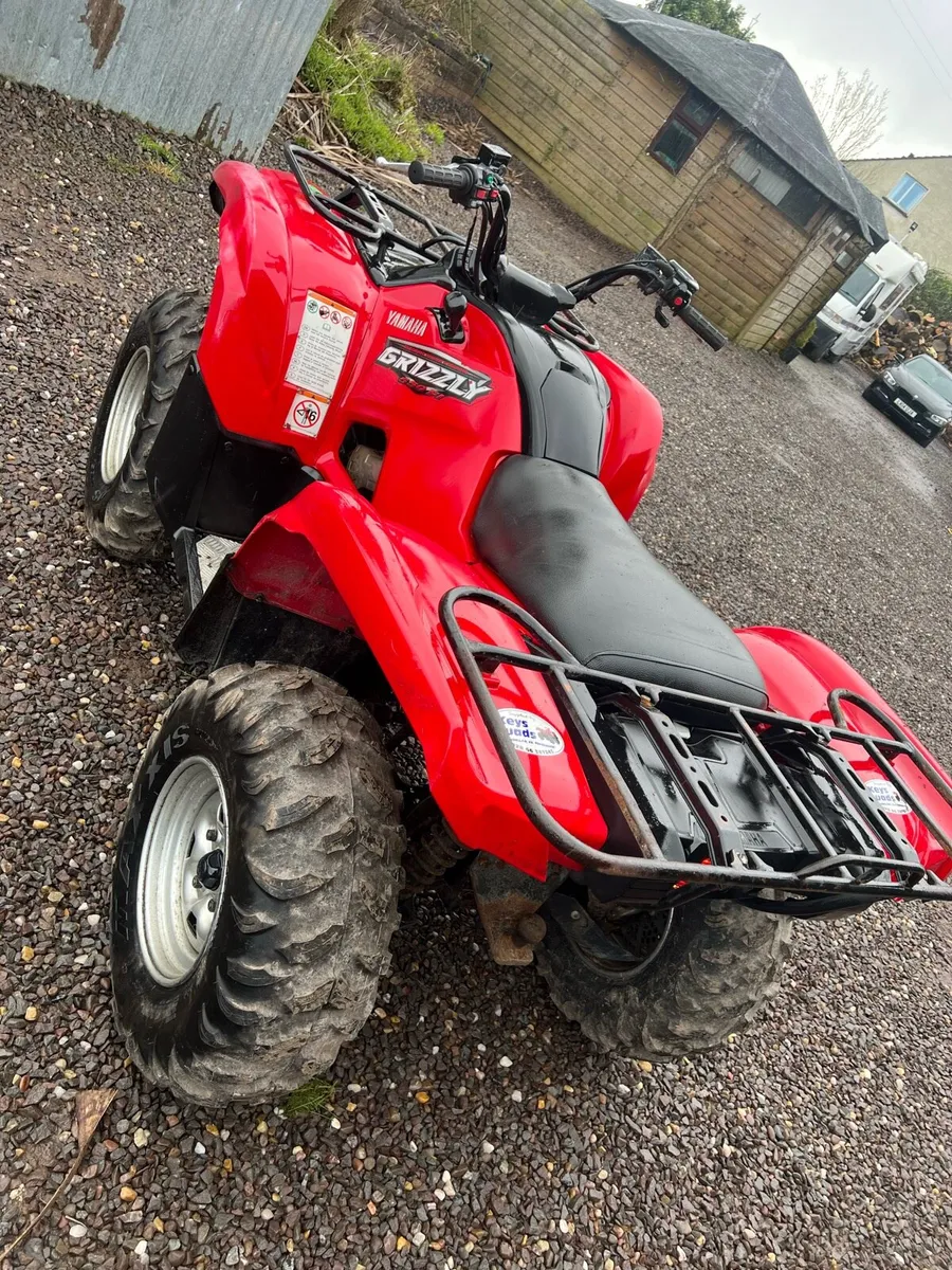 Yamaha grizzly - Image 3