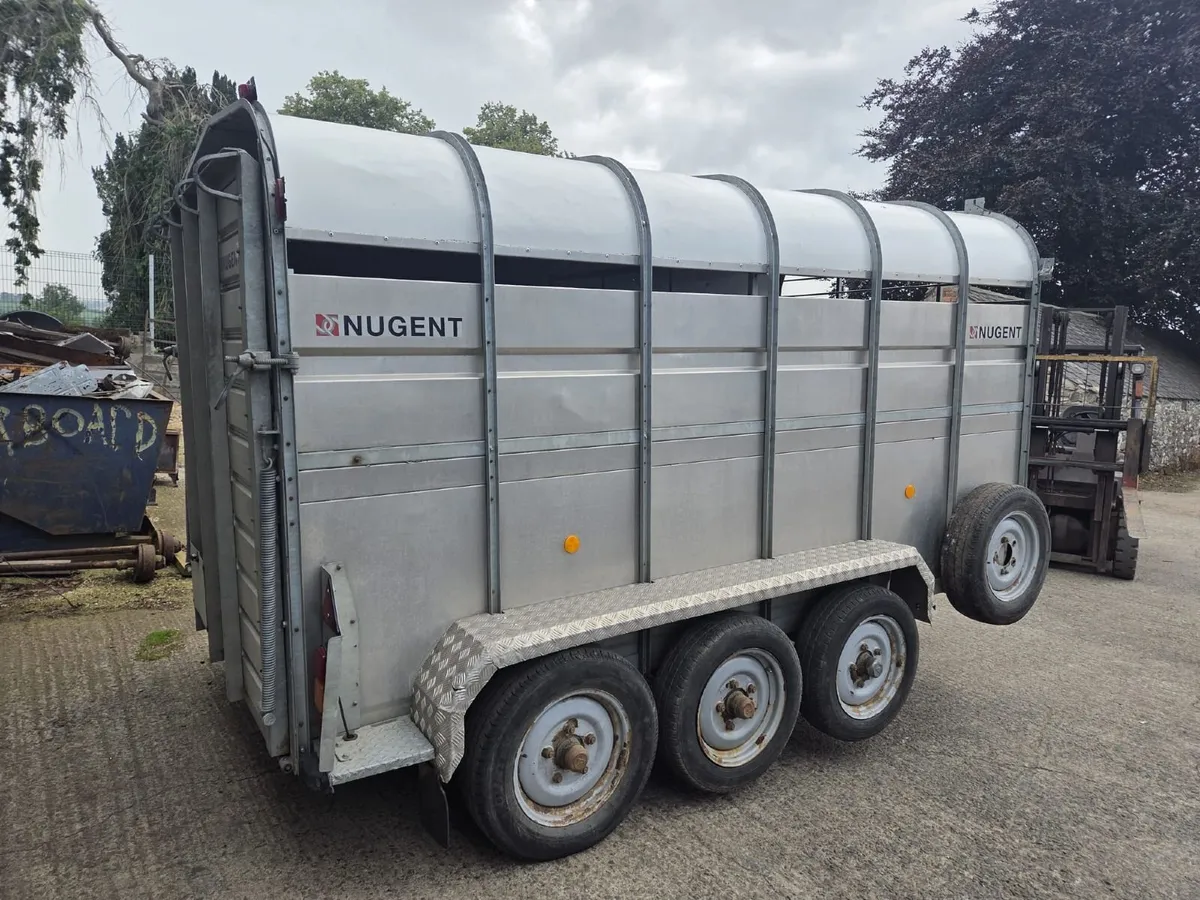 Nugent livestock trailer 12x6 - Image 3