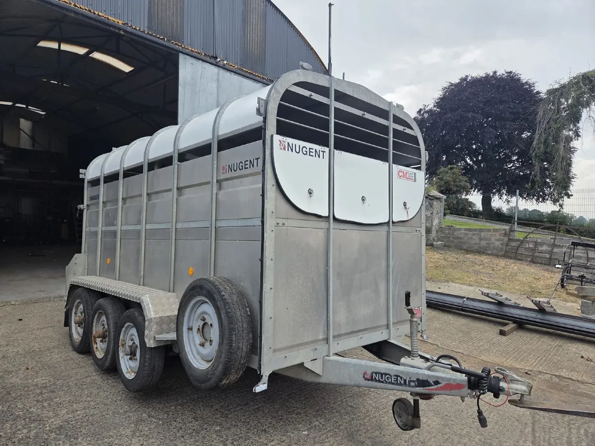 Nugent livestock trailer 12x6 - Image 4